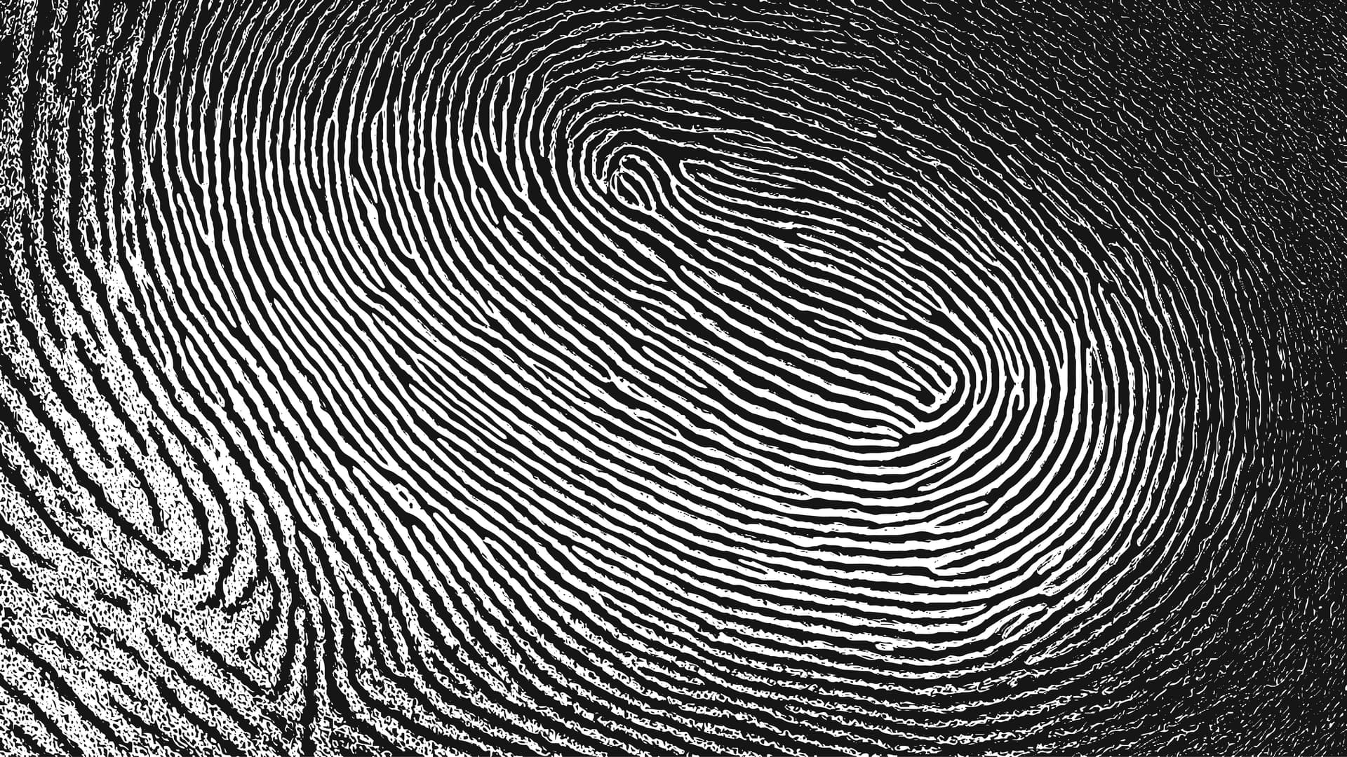Fingerprint close-up illustration