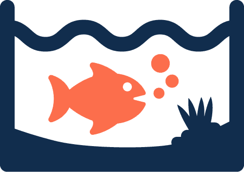 Animal Facts