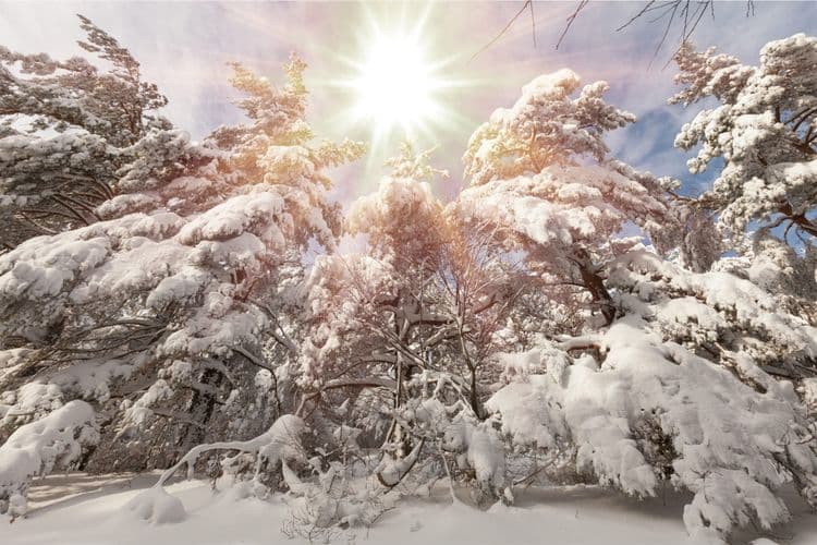 The Secrets of the Winter Solstice