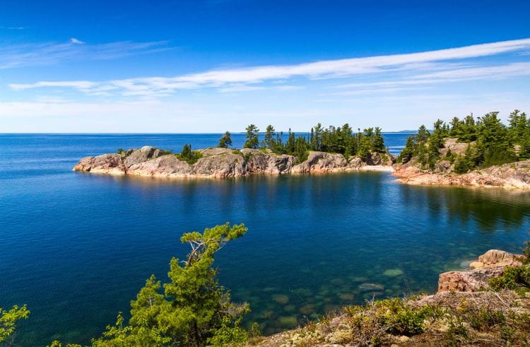 The Floating Forests of Lake Superior