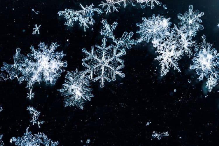 The World’s Largest Snowflake: A Winter Wonder