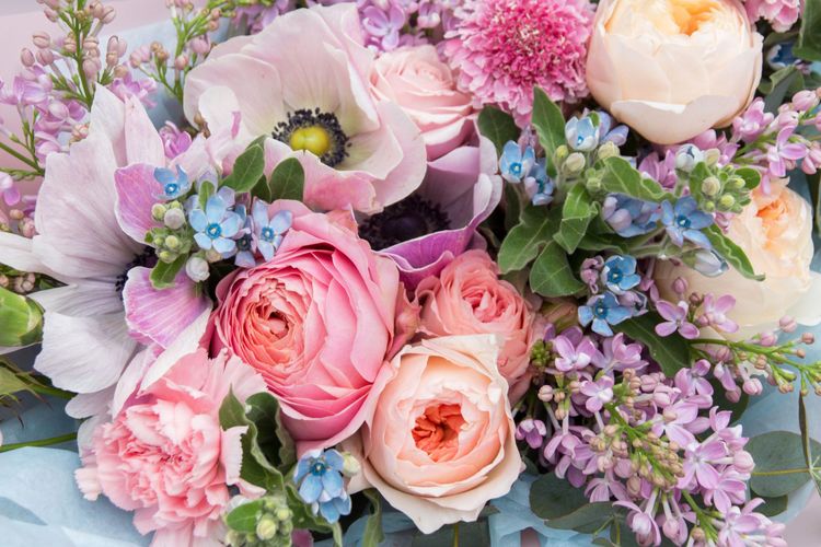 The Secret Code of Flowers