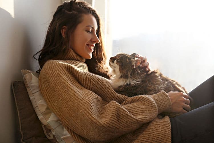 The Science of Purring: Why Cats Do It and Why We Love It