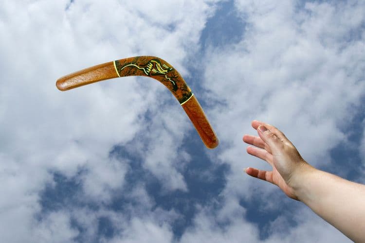 The Science of Boomerangs—Why They Come Back
