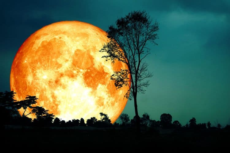 The Harvest Moon Allowed Farmers to Work Late into the Night