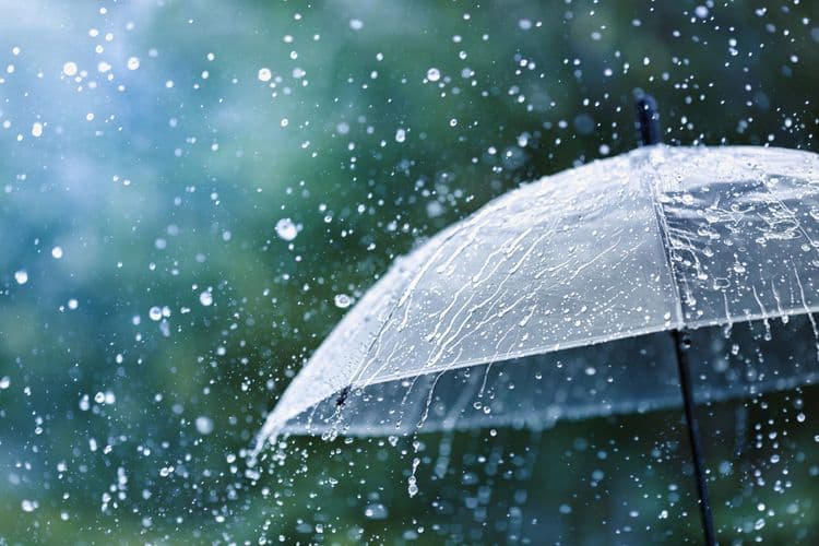The Origins of the Umbrella: From Sunshade to Rain Shield