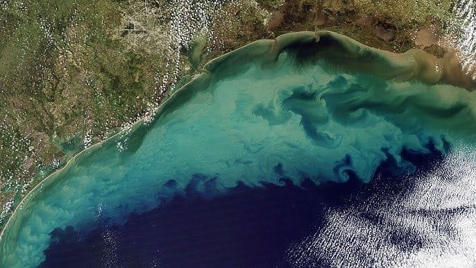Ocean dead zone aerial view