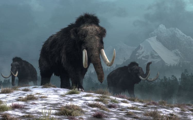 The Extinct Animal That's Coming Back From the Dead