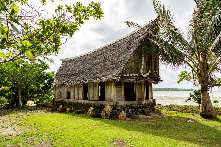 The Island Where Money Literally Grows on Trees