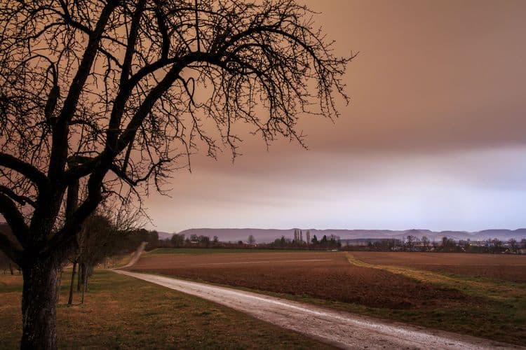 Saharan Dust Travels Across Europe to Power Solar Panels